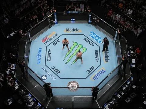 Підозрілі ставки підривають довіру до турнірів UFC